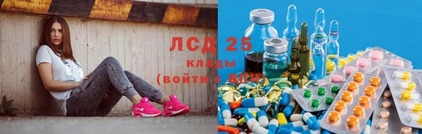 jwh Аркадак